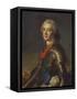 Portrait of Louis-Jean-Marie De Bourbon (1725-1793), Duc De Penthievre in Armour, with the Order…-Jean-Marc Nattier-Framed Stretched Canvas