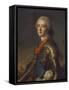 Portrait of Louis-Jean-Marie De Bourbon (1725-1793), Duc De Penthievre in Armour, with the Order…-Jean-Marc Nattier-Framed Stretched Canvas