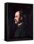 Portrait of Louis Pasteur (1822-1895), French Chemist and Biologist, - by Henner, Musée De L'instit-Jean-Jacques Henner-Framed Stretched Canvas