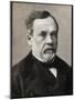 Portrait of Louis Pasteur (1822-1895), French chemist and microbiologist-French Photographer-Mounted Giclee Print