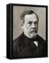Portrait of Louis Pasteur (1822-1895), French chemist and microbiologist-French Photographer-Framed Stretched Canvas