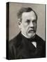 Portrait of Louis Pasteur (1822-1895), French chemist and microbiologist-French Photographer-Stretched Canvas
