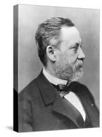 Portrait of Louis Pasteur-Nadar-Stretched Canvas