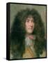 Portrait of Louis Xiv (1638-1715) King of France-Charles Le Brun-Framed Stretched Canvas