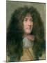 Portrait of Louis Xiv (1638-1715) King of France-Charles Le Brun-Mounted Giclee Print
