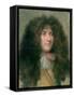 Portrait of Louis Xiv (1638-1715) King of France-Charles Le Brun-Framed Stretched Canvas