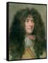 Portrait of Louis Xiv (1638-1715) King of France-Charles Le Brun-Framed Stretched Canvas