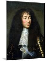 Portrait of Louis XIV (1638-1715)-Charles Le Brun-Mounted Premium Giclee Print