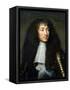 Portrait of Louis XIV (1638-1715)-Charles Le Brun-Framed Stretched Canvas