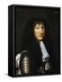 Portrait of Louis XIV of France, known as Louis Great or Sun King-null-Framed Stretched Canvas