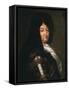 Portrait of Louis XIV of France, known as Louis the Great or the Sun King-null-Framed Stretched Canvas