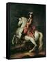 Portrait of Louis Xiv on a Horse-Adam Frans van der Meulen-Framed Stretched Canvas