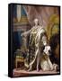 Portrait of Louis XV in His Royal Costume-Louis Michel Van Loo-Framed Stretched Canvas