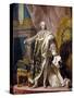 Portrait of Louis XV in His Royal Costume-Louis Michel Van Loo-Stretched Canvas