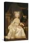 Portrait of Louise Marie Josephine de Savoie, in a White Satin Dress-Joseph Boze-Stretched Canvas