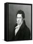 Portrait of Lucas Alaman (1792-1853)-null-Framed Stretched Canvas