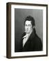 Portrait of Lucas Alaman (1792-1853)-null-Framed Giclee Print
