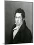 Portrait of Lucas Alaman (1792-1853)-null-Mounted Giclee Print