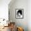 Portrait of Lucio Battisti-null-Framed Photographic Print displayed on a wall