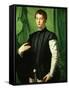 Portrait of Ludovico Capponi-Agnolo Bronzino-Framed Stretched Canvas