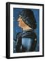 Portrait of Ludovico Maria Sforza, also known as Ludovico Il Moro-null-Framed Giclee Print