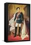 Portrait of Ludwig II-null-Framed Stretched Canvas