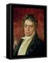 Portrait of Ludwig Van Beethoven (1770-1827)-null-Framed Stretched Canvas