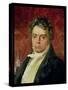 Portrait of Ludwig Van Beethoven (1770-1827)-null-Stretched Canvas