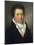 Portrait of Ludwig Van Beethoven, 1804-W.J. Mahler-Mounted Giclee Print