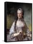 Portrait of Madame Adelaide De France by Jean-Marc Nattier-null-Framed Stretched Canvas