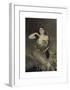 Portrait of Madame Arnold Seligmann-Giovanni Boldini-Framed Premium Giclee Print