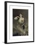 Portrait of Madame Arnold Seligmann-Giovanni Boldini-Framed Premium Giclee Print