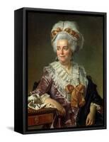 Portrait of Madame Charles-Pierre Pecoul, Nee Potain, Mother-In-Law of the Artist, 1784-Jacques-Louis David-Framed Stretched Canvas