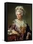 Portrait of Madame Charles-Pierre Pecoul, Nee Potain, Mother-In-Law of the Artist, 1784-Jacques-Louis David-Framed Stretched Canvas