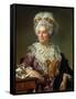 Portrait of Madame Charles-Pierre Pecoul, Nee Potain, Mother-In-Law of the Artist, 1784-Jacques-Louis David-Framed Stretched Canvas