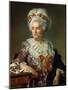 Portrait of Madame Charles-Pierre Pecoul, Nee Potain, Mother-In-Law of the Artist, 1784-Jacques-Louis David-Mounted Giclee Print