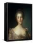 Portrait of Madame Dupin (1706-95)-Jean-Marc Nattier-Framed Stretched Canvas