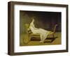 Portrait of Madame Récamier, 1800-Jacques-Louis David-Framed Giclee Print