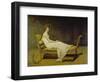 Portrait of Madame Récamier, 1800-Jacques-Louis David-Framed Giclee Print