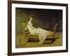 Portrait of Madame Récamier, 1800-Jacques-Louis David-Framed Giclee Print