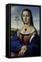 Portrait of Maddalena Strozzi Donica, c.1506-Raphael-Framed Stretched Canvas