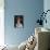 Portrait of Mademoiselle Gina Palerme-null-Photographic Print displayed on a wall