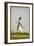 Portrait Of Maharav Raja Bakhtavar Singh Of Alwar (R.1790-1815)-null-Framed Giclee Print