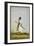 Portrait Of Maharav Raja Bakhtavar Singh Of Alwar (R.1790-1815)-null-Framed Giclee Print