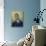 Portrait of Man-Vincent van Gogh-Stretched Canvas displayed on a wall