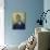 Portrait of Man-Vincent van Gogh-Mounted Giclee Print displayed on a wall