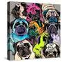Portrait of Many Pugs. Composition in a Bright Coloring Pop Art Style. Humor Card, T-Shirt Composit-null-Stretched Canvas