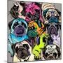 Portrait of Many Pugs. Composition in a Bright Coloring Pop Art Style. Humor Card, T-Shirt Composit-null-Mounted Art Print