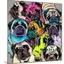 Portrait of Many Pugs. Composition in a Bright Coloring Pop Art Style. Humor Card, T-Shirt Composit-null-Mounted Art Print