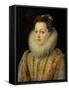 Portrait of Maria D'Aviz of Portugal-Frans Pourbus II-Framed Stretched Canvas